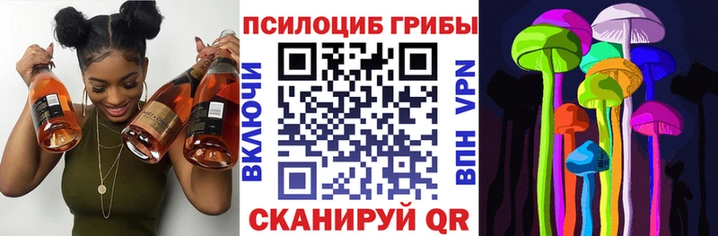 Псилоцибиновые грибы Psilocybe  Купить  Бутурлиновка 